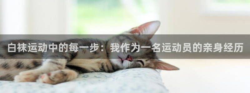 白袜运动中的每一步：我作为一名运动员的亲身经历