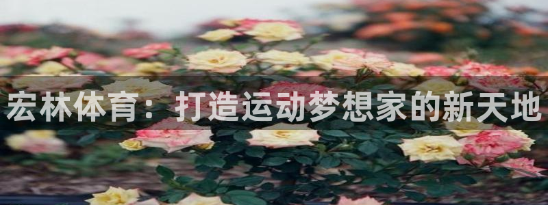 宏林体育：打造运动梦想家的新天地
