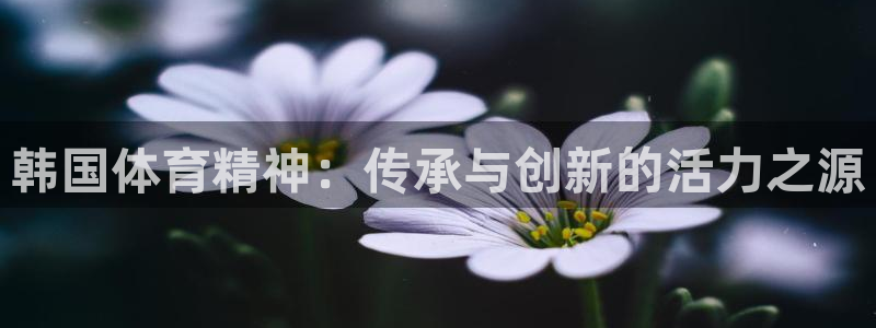 韩国体育精神：传承与创新的活力之源