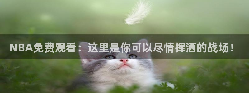 NBA免费观看：这里是你可以尽情挥洒的战场！