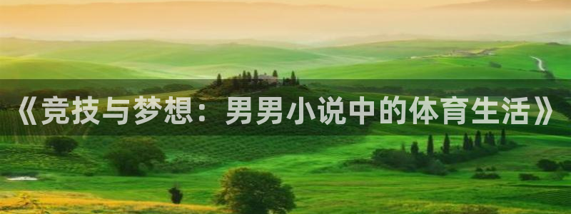 《竞技与梦想：男男小说中的体育生活》