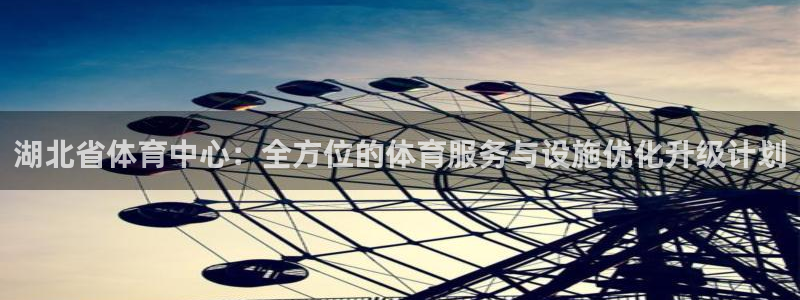湖北省体育中心：全方位的体育服务与设施优化升级计划