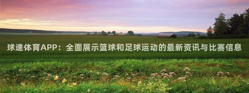 球速体育APP：全面展示篮球和足球运动的最新资讯与比赛信息