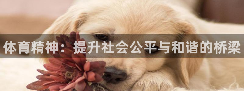 nba直播在线观看乐球
