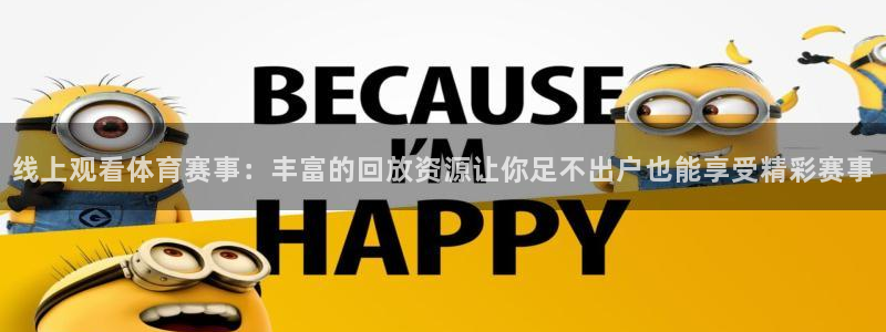 乐球比赛直播：线上观看体育赛事：丰富的回放资源让你足不出户也能享受精彩赛事