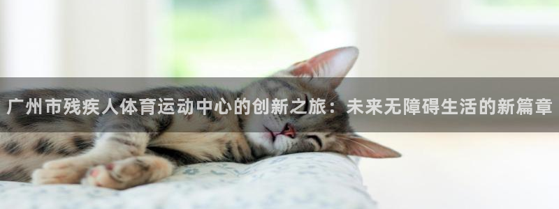 乐球体育小鱼直播在线观看：广州市残疾人体育运动中心的创新之旅：未来无障碍生活的新篇章