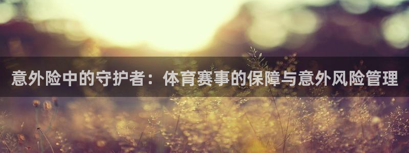 乐球体育赛事直播：意外险中的守护者：体育赛事的保障与意外风险管理