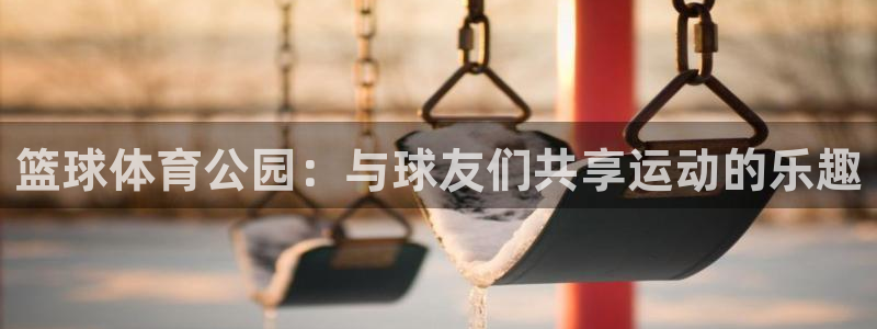 乐球直播苹果版下载安装：篮球体育公园：与球友们共享运动的乐趣